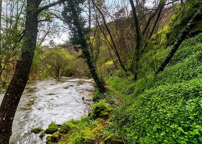 Whome Riverfront Retreat With Exclusive Waterfall Views Chalet *